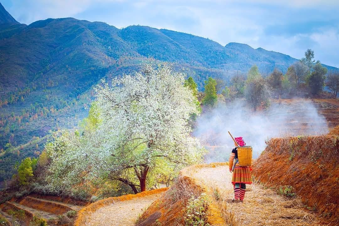 4-Day Cycling Tour: Hanoi to Ngoc Chien & Nam Nghiep